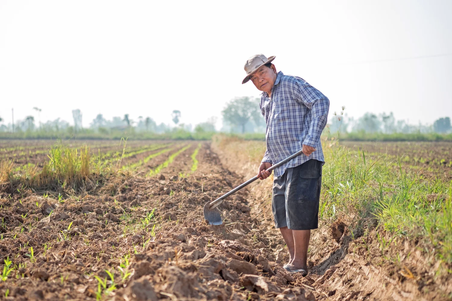 Aposentadoria rural acima do salário mínimo: entenda como é possível